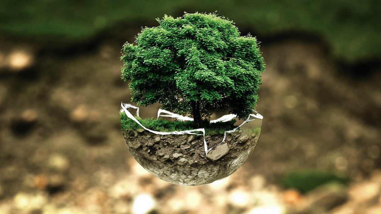 Desarrollo de ecosistemas ecológicos